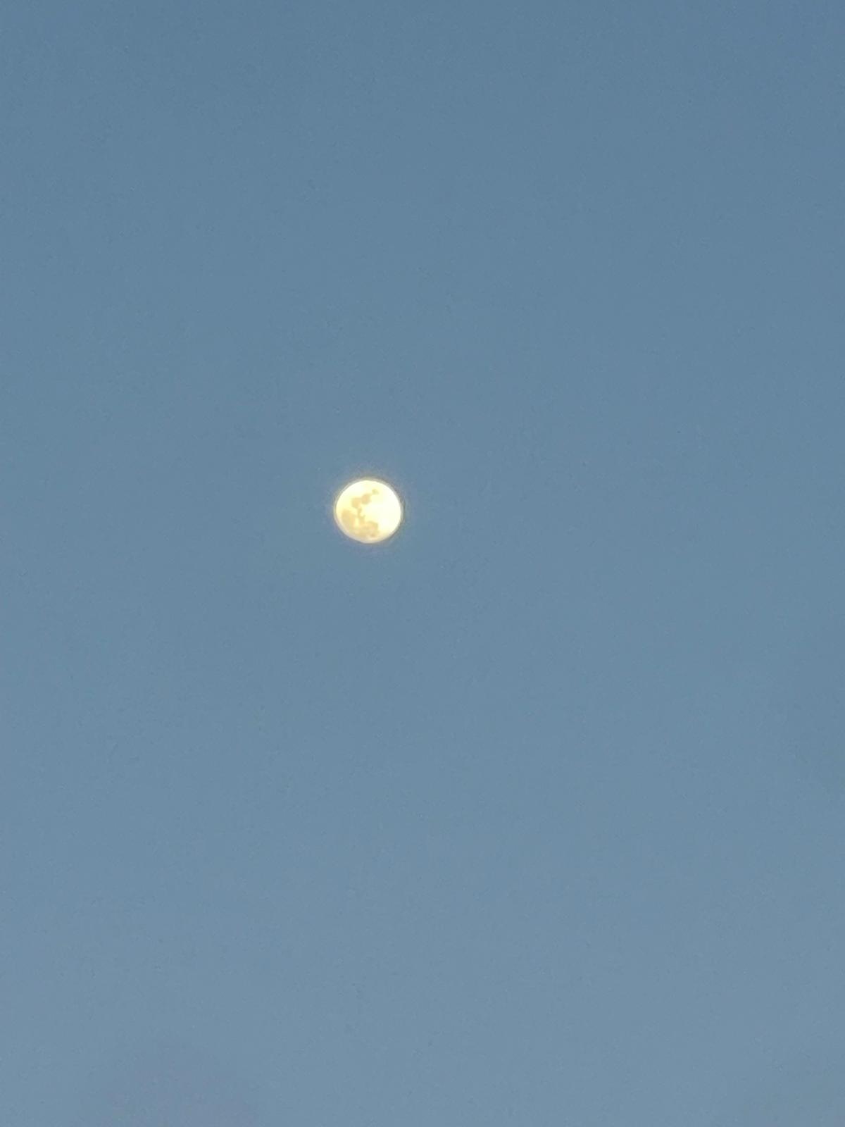unnamed image